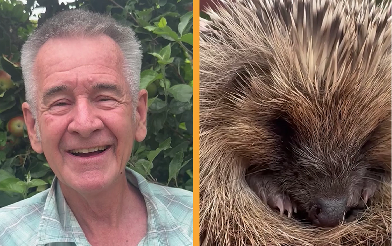 Nigel Marven’s surprise summer visitor: Why your garden could be a lifeline for hungry hedgehogs